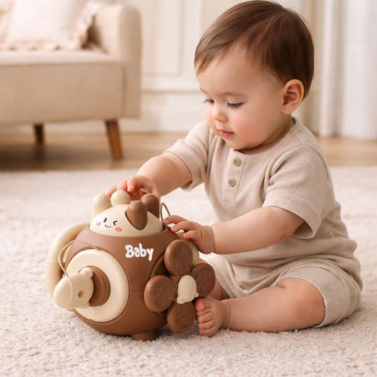 Montessori Busy Activity Ball